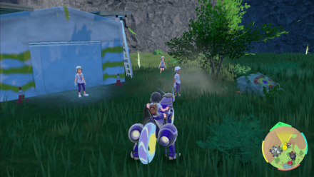 くさむすびの入手場所画像