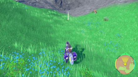 タネばくだんの入手場所画像