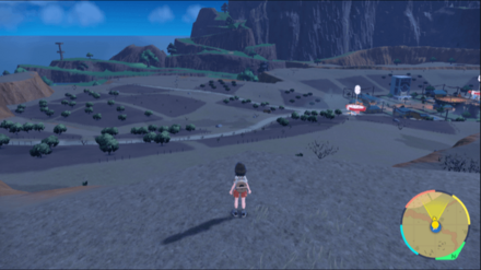 オリーブ大農園