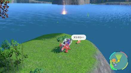 ヌシのシャリタツ