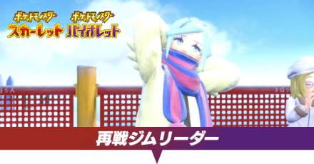 ジムリーダー再戦の攻略と手持ち