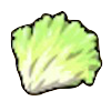 レタスの画像