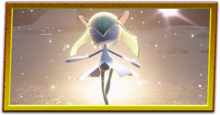 テラスタルポケモン