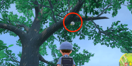 木の上にいるポケモン