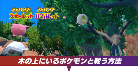 木の上にいるポケモンと戦う方法