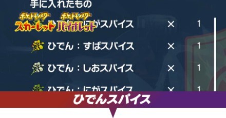 ひでんスパイス