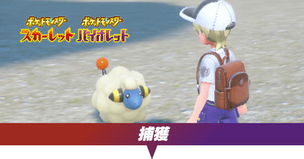 捕獲のコツや捕獲要員