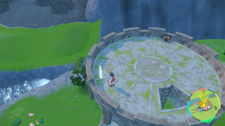 ぼうふうの入手場所画像