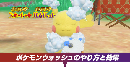ポケモンウォッシュのやり方と効果