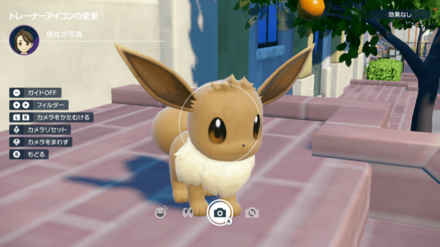 自撮りができない