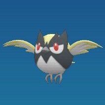 ココガラの色違いの見た目