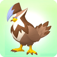 ムクホークの色違いの見た目