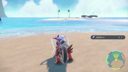 ハッコウシティ南の浜辺の光るアイテムから入手