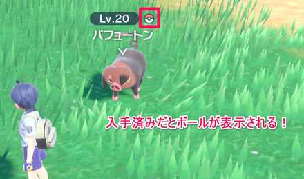 ロックオン機能で入手済か否か判断