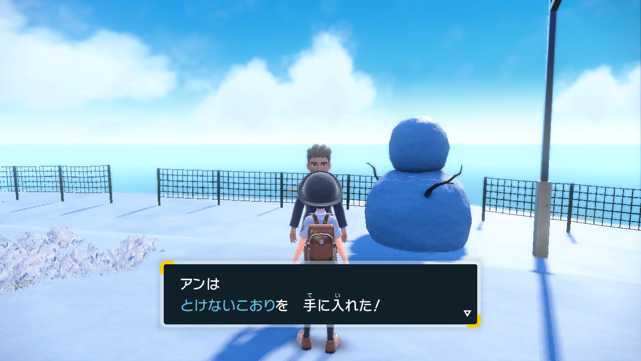 とけないこおりの入手方法