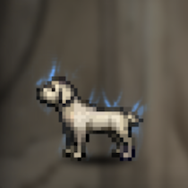 犬(白)