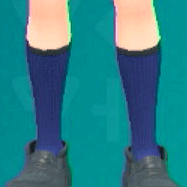 ハイソックス(ネイビー)画像
