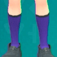 ハイソックス(パープル)画像