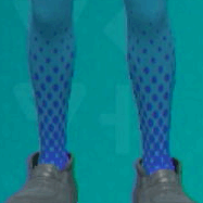 スポーツタイツ(グリーン)画像