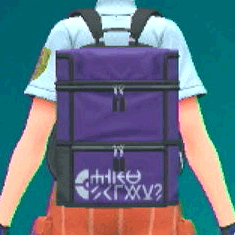 スポーツリュック(パープル)画像