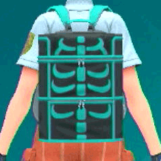 スポーツリュック(C)画像