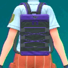 ナイロンリュック(パープル)画像