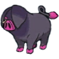 パフュートン（オス）の画像