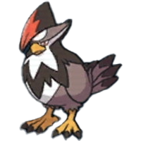 ムクホーク画像