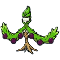 オリーヴァ画像