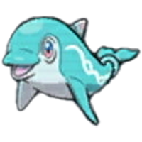 ナミイルカの画像