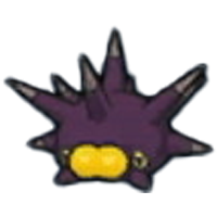 バチンウニの画像