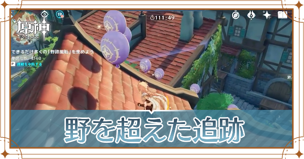 野を越えた追跡