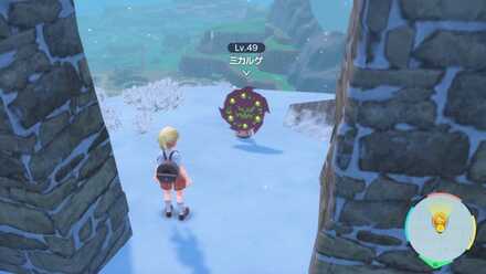 ミカルゲのいる廃墟