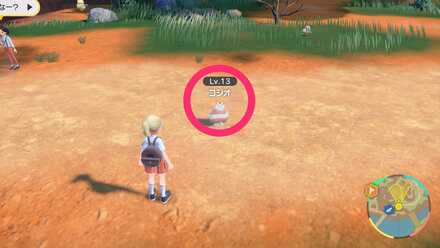 コジオの見た目