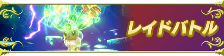 レイドバトル