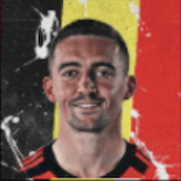 HPティモシーカスターニュ(ベルギーパック)画像