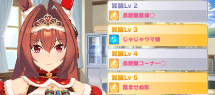 クリスマスダスカ覚醒スキル