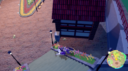 キマワリの場所12