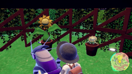 キマワリの場所15