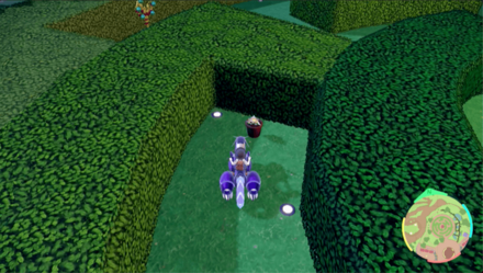 キマワリの場所14