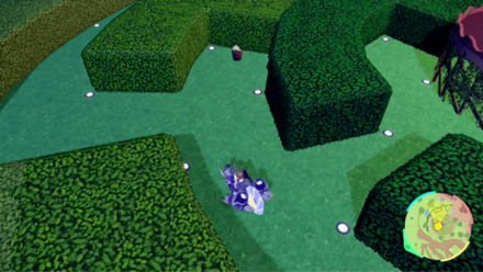 キマワリの場所16