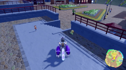 キマワリの場所30