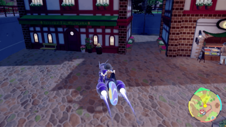 キマワリの場所29