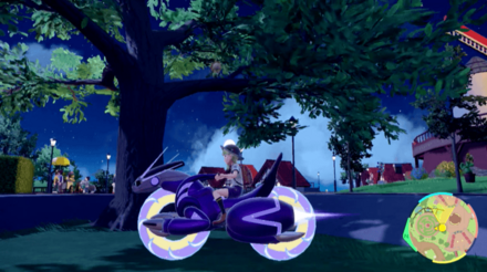 キマワリの場所25