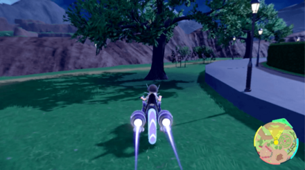 キマワリの場所26