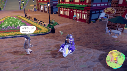 キマワリの場所22