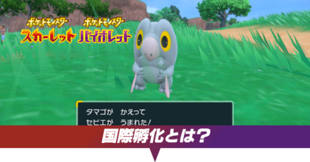 国際孵化サムネ