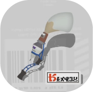 パブロヒュー画像