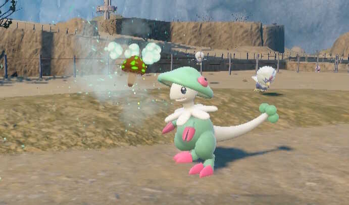 最強技キノコのほうしを撒き散らすキノガッサ様