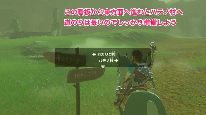 ハテノ塔への分岐点